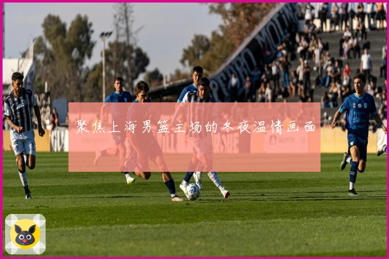 聚焦上海男篮主场的冬夜温情画面